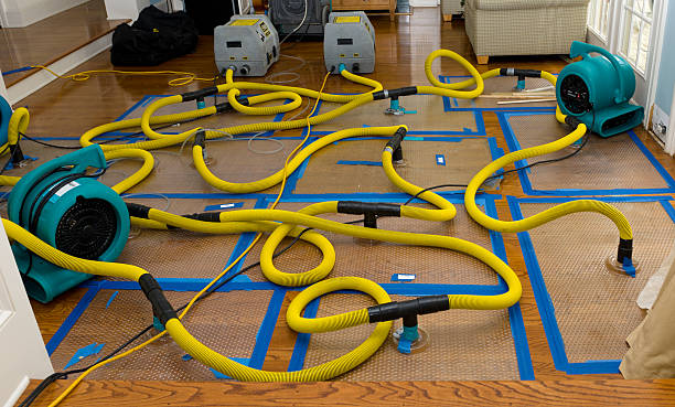 Professional Crawl Space Water Removal technician working in Salt Rock, WV
